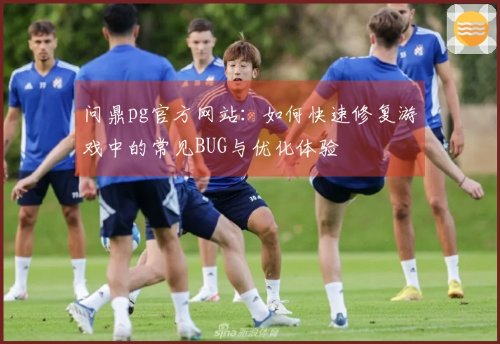 问鼎pg官方网站：如何快速修复游戏中的常见BUG与优化体验